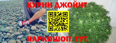 jwh Кингисепп