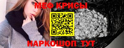 jwh Кингисепп