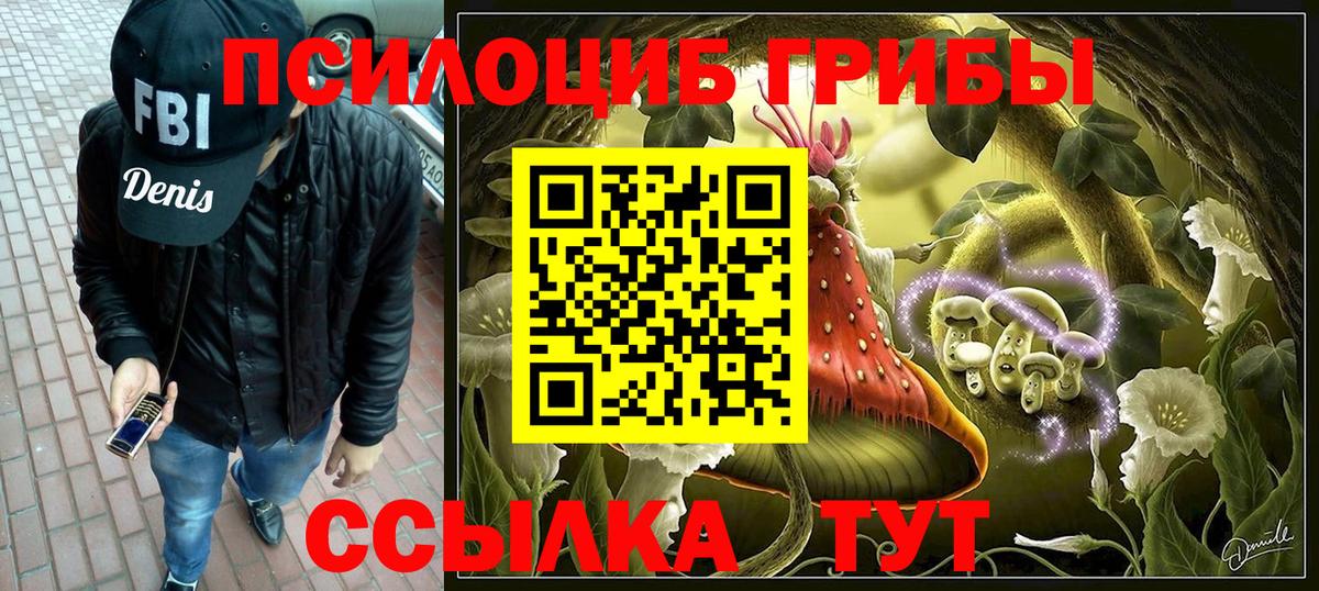 Галлюциногенные грибы Psilocybe  Вход с VPN  Кудымкар  Псилоцибиновые грибы ЛСД 