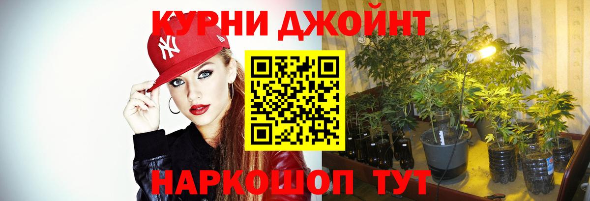 Бошки Шишки конопля  Вход с VPN  Кудымкар  Марихуана тримм 
